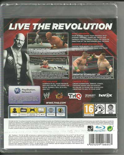 wwe13