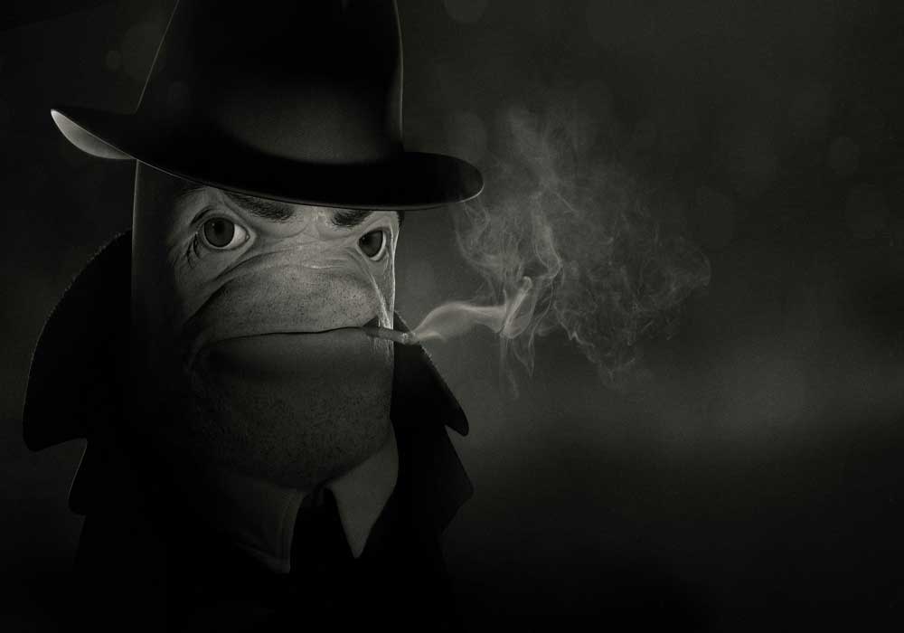 Woderbook: Detektyw Diggs PS33